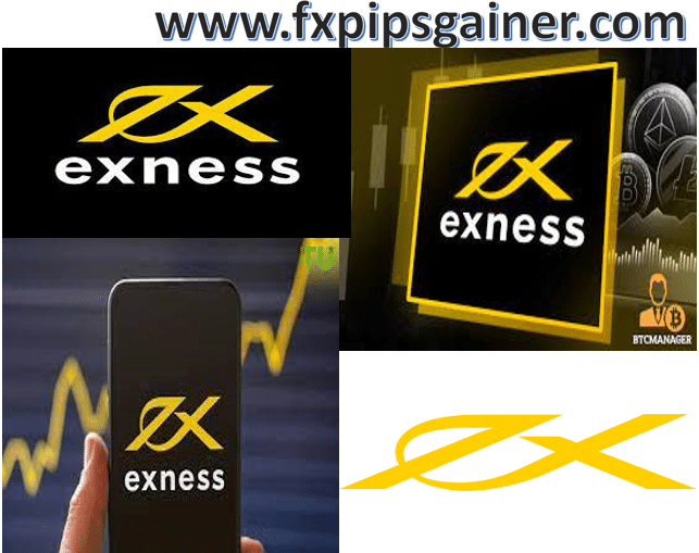 Exploring the World of Exness Trading Strategies and Insights